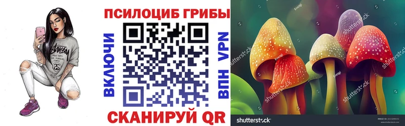 дарнет шоп  Наро-Фоминск  Галлюциногенные грибы Psilocybe 
